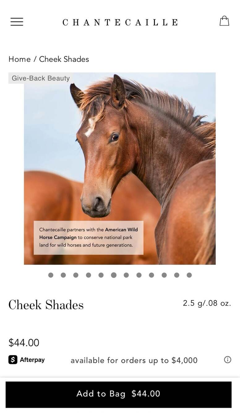 Chantecaille Philanthropy Cheek Shade in Joy (Wild Horse). NIB! - Picture 4 of 12
